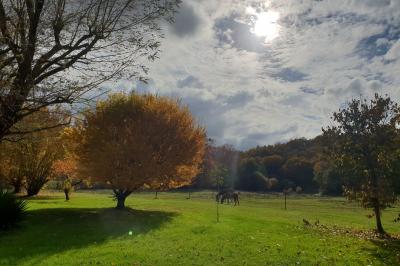 Location salle Gavaudun (Lot-et-Garonne) - Moulin de Saint-Avit #26