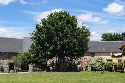 Location salle Plélan-le-Grand (Ille-et-Vilaine) - Domaine Le 5B #43