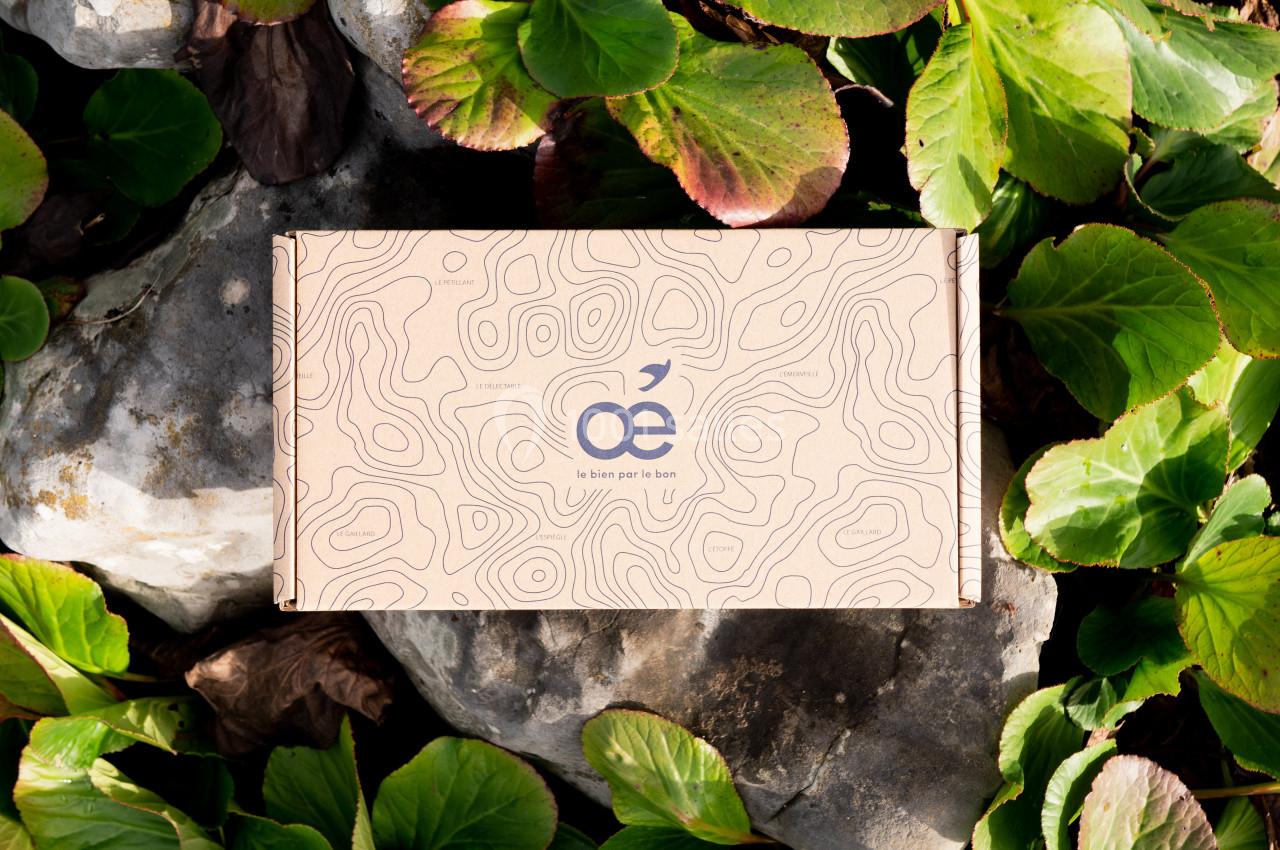 Boîte en carton avec un motif topographique, posée sur des feuilles vertes et des pierres grises.