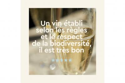 Une bouteille de vin blanc bio, un verre en cours de remplissage, des olives et des herbes sur une table jaune.