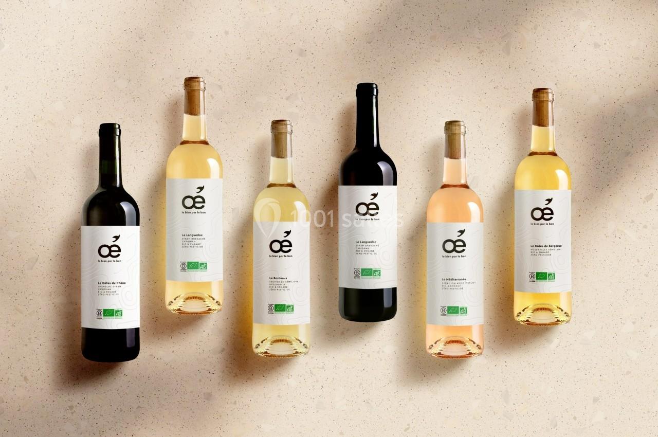 Bouteilles de vin blanc, rouge et rosé alignées sur une surface beige, avec étiquettes portant un logo et une certification…