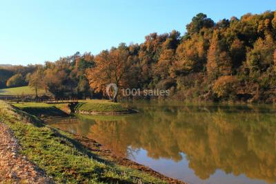 Manade du Joncas Manade du Joncas
