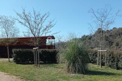 Miniature Location salle Saint-André-d'Olérargues (Gard) - Manade du Joncas #10 Location salle Saint-André-d'Olérargues (Gard) - Manade du Joncas #13