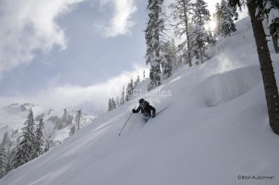 Buffet de petit-déjeuner avec viennoiseries, pain, fruits et fontaine de chocolat dans une salle décorée de motifs tropicaux.