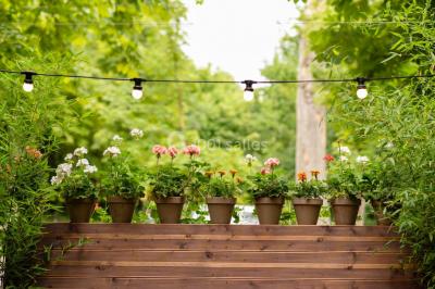 Location salle Saint-Cloud (Hauts-de-Seine) - L'Orangerie #62