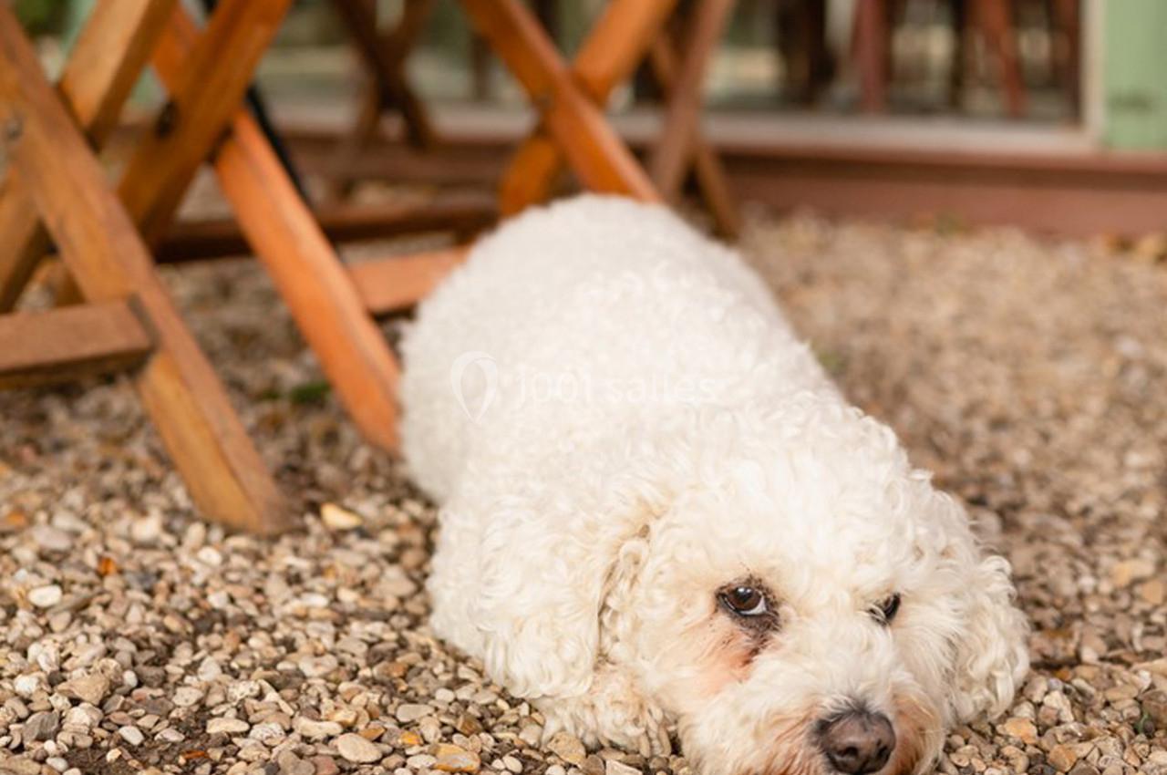 Location salle Saint-Cloud (Hauts-de-Seine) - L'Orangerie #16