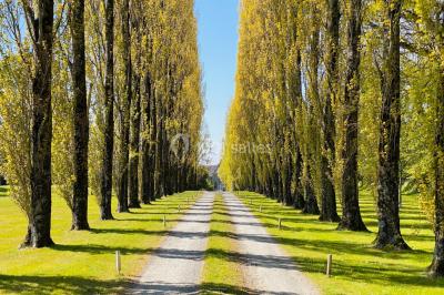 Structure en verre illuminée par des lumières violettes au crépuscule, avec un ciel dégagé en arrière-plan.