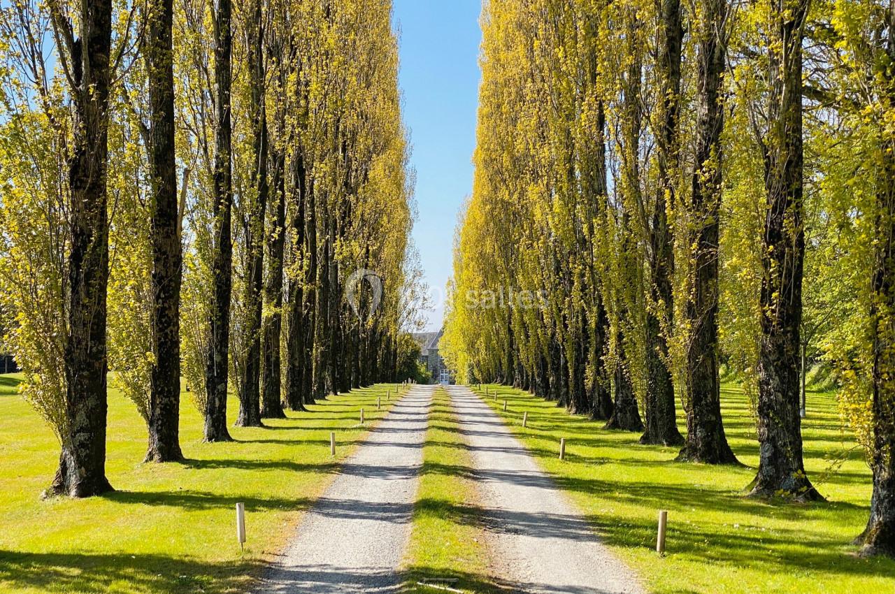 Allée bordée de grands arbres aux feuilles jaunes, avec un chemin de gravier traversant une pelouse verte.