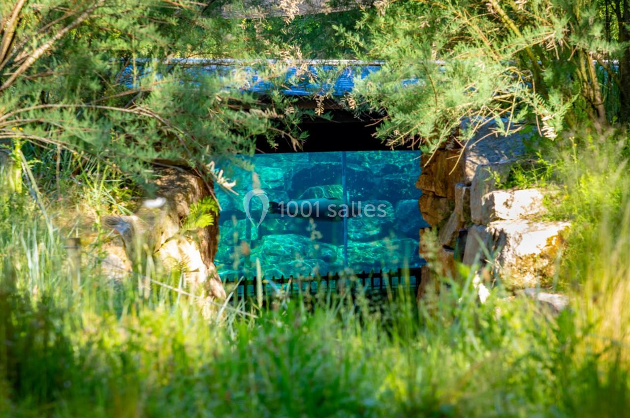 Vue d'un bassin d'aquarium encadré par des plantes et des rochers, avec un poisson visible à travers la vitre.