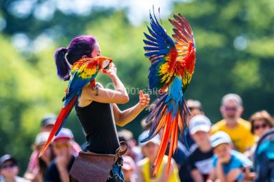 Logo du parc animalier et botanique de Branféré avec une silhouette de girafe et le texte ’La Fondation de France présente’.
