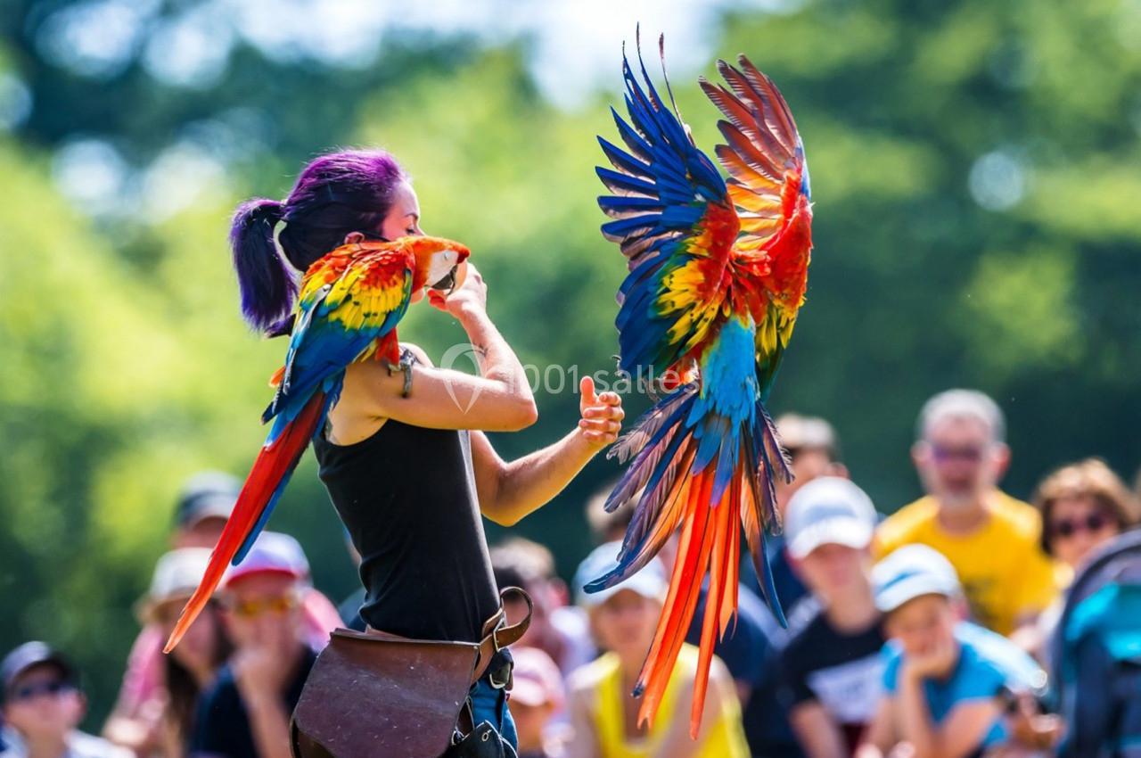 Une femme interagit avec deux aras colorés en plein vol devant un public en extérieur.