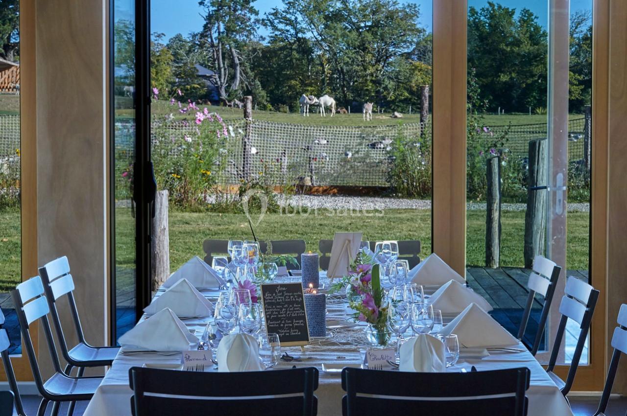 Table dressée avec élégance dans une salle lumineuse, offrant une vue sur un jardin verdoyant et des chevaux au loin.