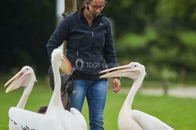 Logo du parc animalier et botanique de Branféré avec une silhouette de girafe et le texte ’La Fondation de France présente’.