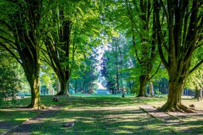 Logo du parc animalier et botanique de Branféré avec une silhouette de girafe et le texte ’La Fondation de France présente’.