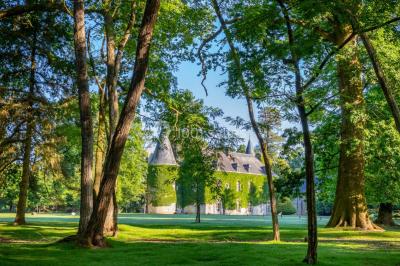 Logo du parc animalier et botanique de Branféré avec une silhouette de girafe et le texte ’La Fondation de France présente’.