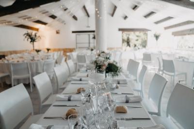 Un champ avec des vaches noires paissant, entouré de clôtures en bois et bordé d'arbres.