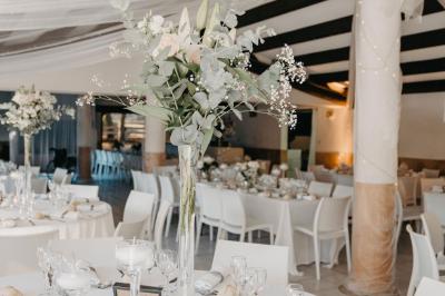Un champ avec des vaches noires paissant, entouré de clôtures en bois et bordé d'arbres.