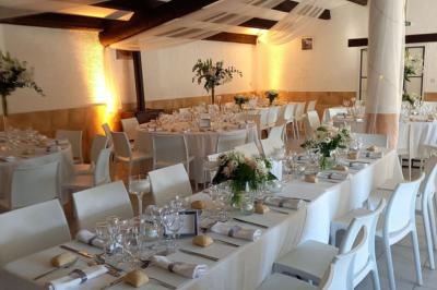Un champ avec des vaches noires paissant, entouré de clôtures en bois et bordé d'arbres.