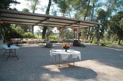 Un champ avec des vaches noires paissant, entouré de clôtures en bois et bordé d'arbres.