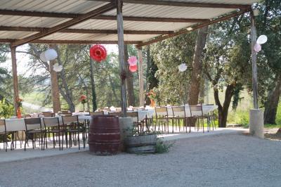 Un champ avec des vaches noires paissant, entouré de clôtures en bois et bordé d'arbres.