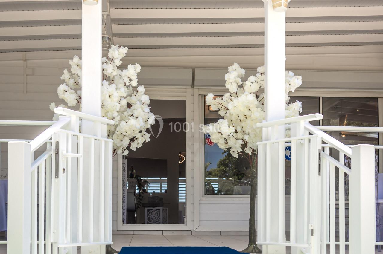 Escalier extérieur avec tapis bleu, encadré de balustrades blanches et décoré de deux arbres artificiels blancs.