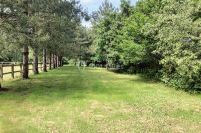 Location salle Moutiers-les-Mauxfaits (Vendée) - Domaine du Bois des Lys #19