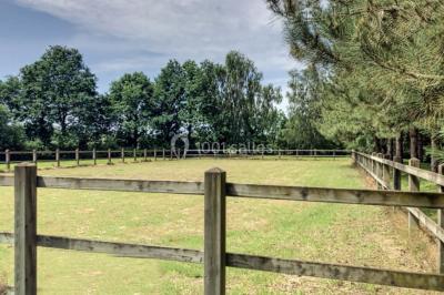 Location salle Moutiers-les-Mauxfaits (Vendée) - Domaine du Bois des Lys #19