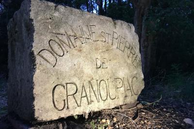 Miniature Location salle Saint-André-de-Sangonis (Hérault) - Château de Granoupiac #24 Façade d'une grande maison blanche entourée d'arbres, avec une pelouse verdoyante au premier plan.