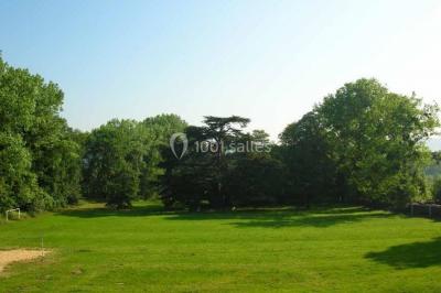 Voiture ancienne noire décorée de fleurs, stationnée sur une allée pavée dans un cadre champêtre.