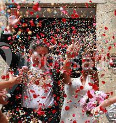 Location salle Dol-de-Bretagne (Ille-et-Vilaine) - Les Ormes, Domaine & Resort #11