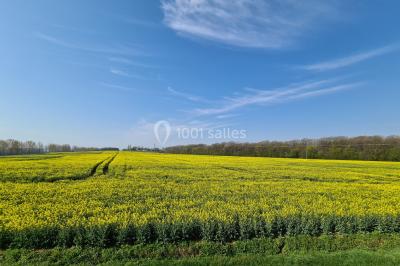 Location salle Chamigny (Seine-et-Marne) - Archangele #27
