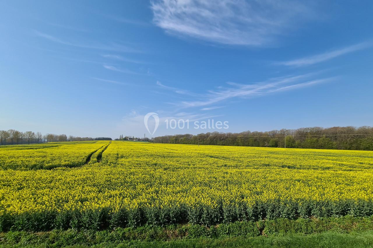 Location salle Chamigny (Seine-et-Marne) - Archangele #25