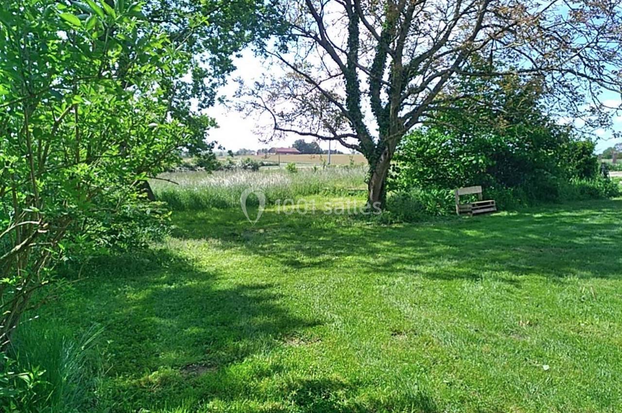 Espace vert avec pelouse, arbre ombragé, banc en bois et végétation dense en arrière-plan.