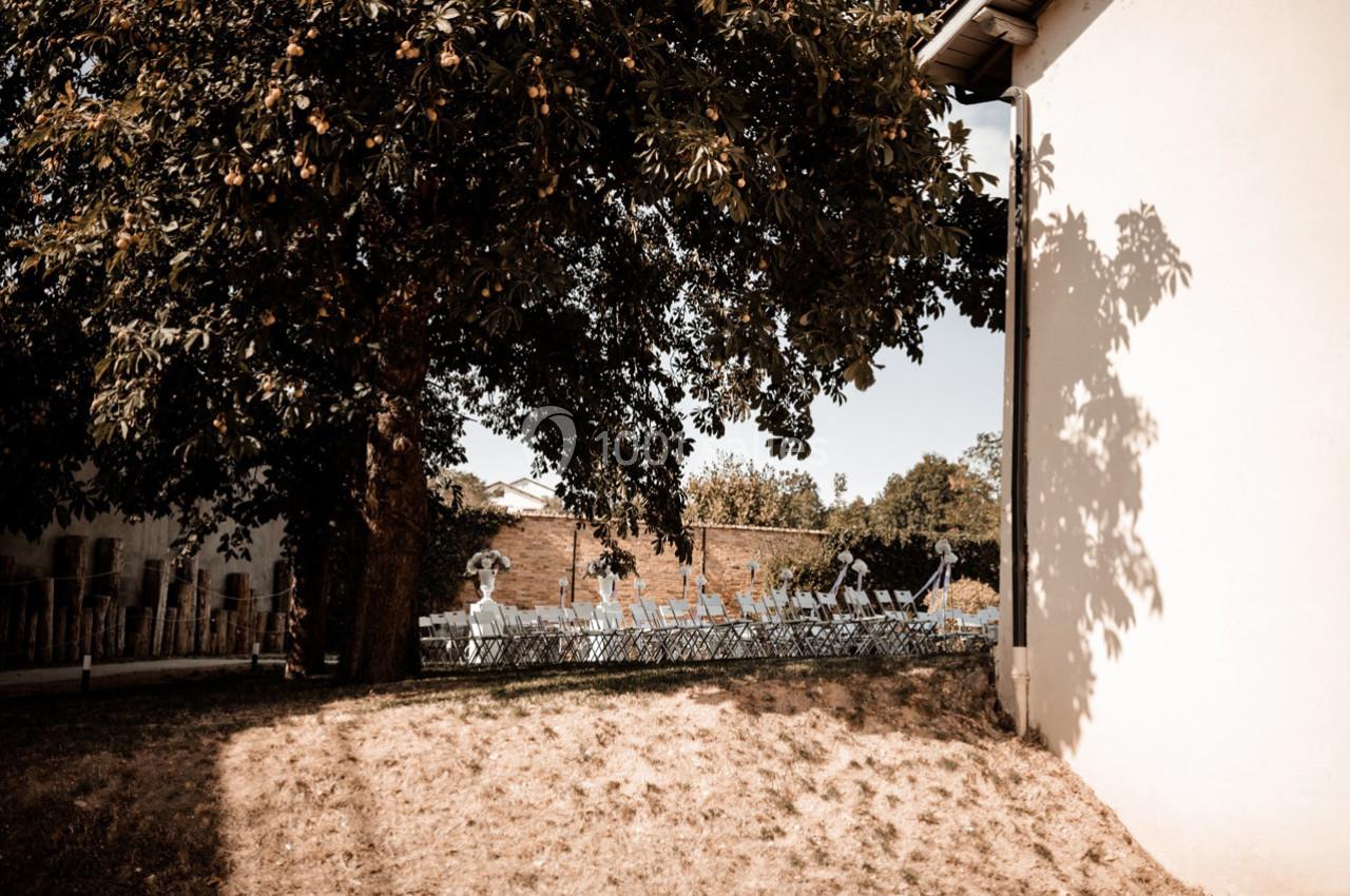 Chaises blanches disposées sous un grand arbre près d'un bâtiment, dans un espace extérieur ensoleillé.