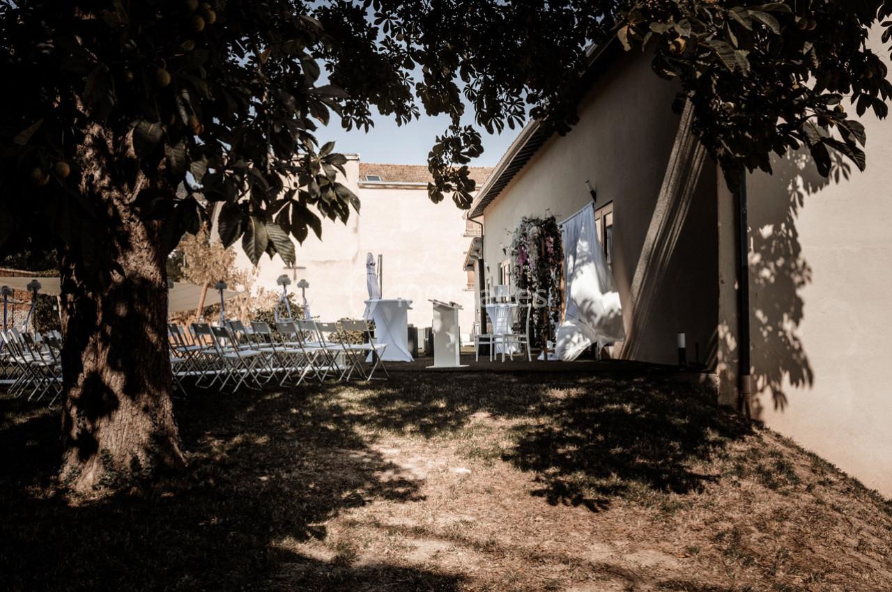 Chaises alignées en extérieur pour une cérémonie, sous un arbre près d'un bâtiment beige éclairé par le soleil.