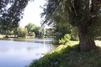 Salle de bain publique avec lavabos en inox, carrelage bleu et blanc, et portes de cabines fermées.