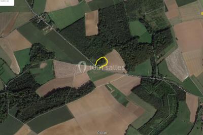 Location salle Doudeauville (Pas-de-Calais) - Le Bois sous l'Etoile #28