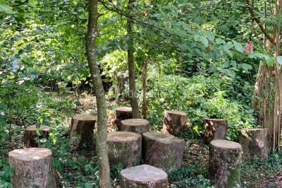 Location salle Doudeauville (Pas-de-Calais) - Le Bois sous l'Etoile #28