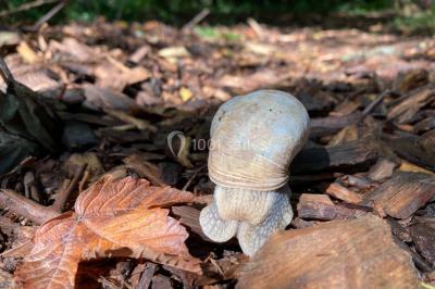 Location salle Doudeauville (Pas-de-Calais) - Le Bois sous l'Etoile #28
