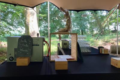 Location salle Doudeauville (Pas-de-Calais) - Le Bois sous l'Etoile #28