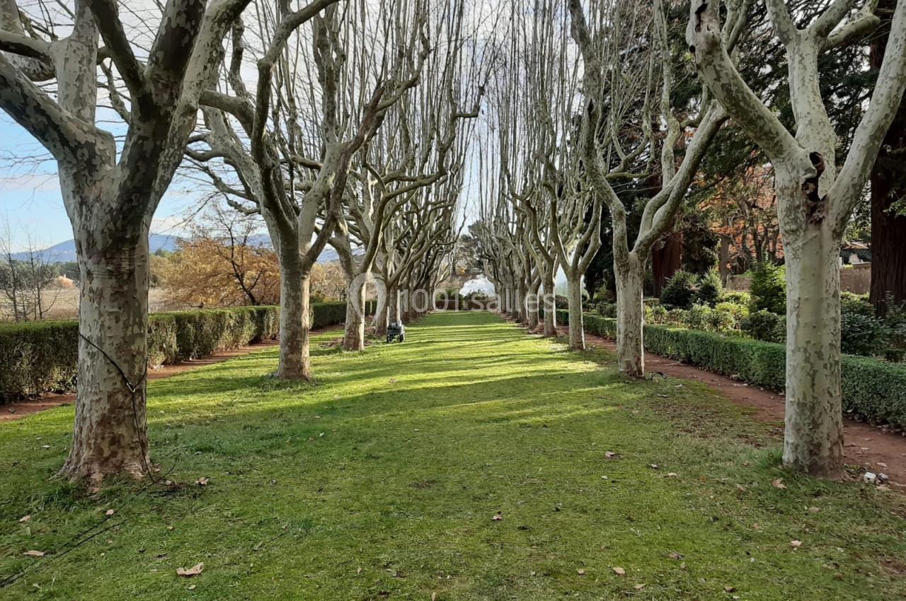 Location salle Gardanne (Bouches-du-Rhône) - La Féraude #13