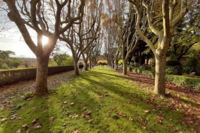 Miniature Location salle Gardanne (Bouches-du-Rhône) - La Féraude #15 Location salle Gardanne (Bouches-du-Rhône) - La Féraude #16