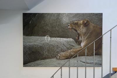 Location salle Bagnolet (Seine-Saint-Denis) - At72 #70