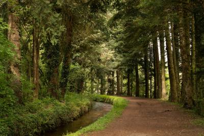 Un hélicoptère posé sur une pelouse, entouré d'arbres et de bâtiments en arrière-plan.