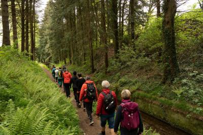 Un hélicoptère posé sur une pelouse, entouré d'arbres et de bâtiments en arrière-plan.
