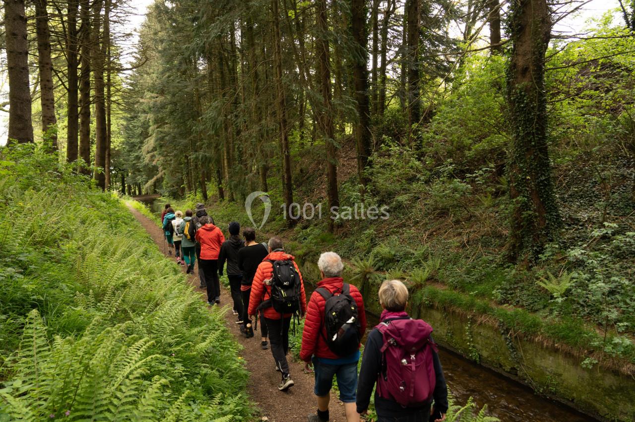 Groupe de randonneurs marchant sur un sentier forestier bordé de fougères et d'arbres.