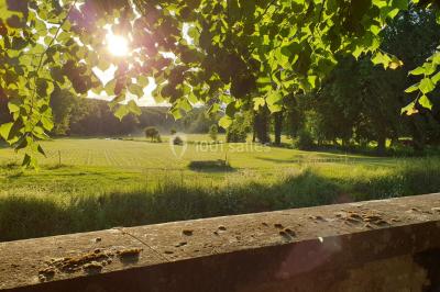 Location salle Mauvilly (Côte-d'Or) - Château de Mauvilly #48