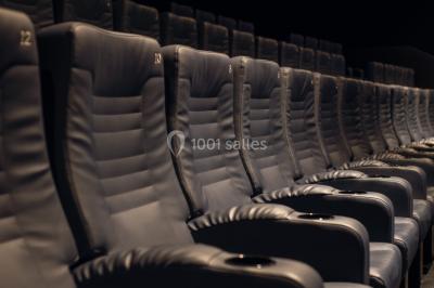 Façade d'un cinéma moderne avec enseigne IMAX, éclairée en soirée, entourée de végétation et d'un parking.