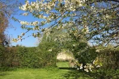 Portail en fer forgé ouvert sur un chemin verdoyant bordé d'arbres et de fleurs sauvages.