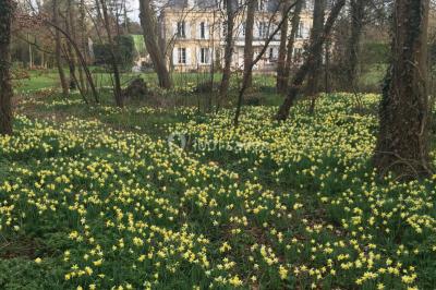 Portail en fer forgé ouvert sur un chemin verdoyant bordé d'arbres et de fleurs sauvages.